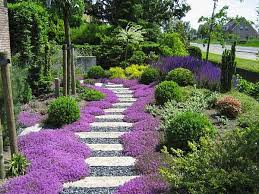 Pin Su Giardini