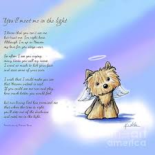 Yorkie Memorial By Kim Niles Dog Heaven Dog Poems Dog Heaven Quotes