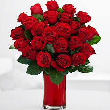 Le rose sono belle come la natura stessa. Sfondi Rose Rosa Novocom Top