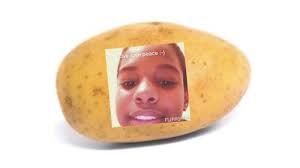 Around in her room,wont run out anytime soon. A Potato Flew Around My Room Know Your Meme
