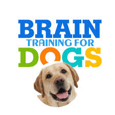 Brain Training For Dogs