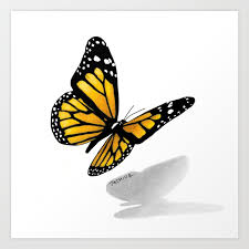 Download Butterfly Drawing Images Prism Color