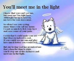 All Dogs Go To Heaven Quotes And Poem Pet Loss Quotes Dog Loss Quotes Death Of A Pet