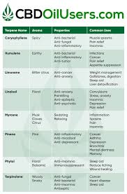 cbd oil for fibromyalgia 2019 update cbd oil users