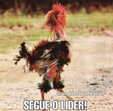 Check spelling or type a new query. Ceni Pai Do Sampaoli Web Repercute Vitoria Do Fortaleza Sobre O Galo Esportes R7 Lance