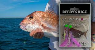 Fishing Spots In Sydney Fishing Gps Marks Locations Snapper