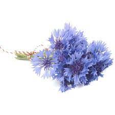 Estonian National Flower The Rukki Lill Cornflower Beautiful Bouquet Of Flowers Blue Flowers Bouquet Blue Bouquet