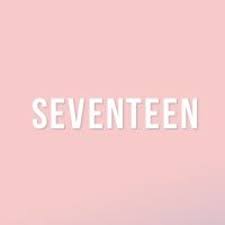 Seventeen's talented vocalists joshua and dk implore thoughts about their collaboration with the american singer pink sweat$. Chan Mingyu Wonwoo Seventeen Mixtape Vol 6 No Flex Zone Chan Mingyu Wonwoo Reviews Album Of The Year