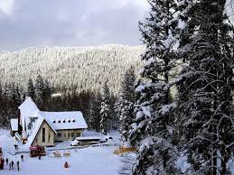 Compare prices of 523 hotels in bakuriani on kayak now. Holiday In Bakuriani