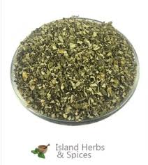 Image result for Phyllanthus nyikae