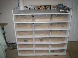 Pin By Jim O Neill On Reptile Rack In 2020 Reptile Rack Reptile Room Snake Cages
