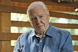 David Attenborough hits out at big game hunters after 12-year-old admits to  trophy hunting