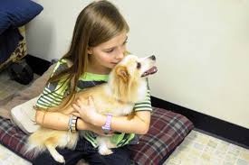 How To Euthanize A Dog Easy Way To Overcome A Sadness