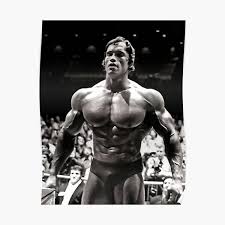 Check spelling or type a new query. Arnold Schwarzenegger Posters Redbubble