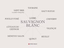 sancerre the ultimate french sauvignon blanc wine folly