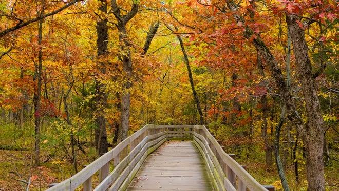 The first day of fall begins on Tuesday, say meteorologists