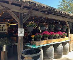It only works if you freshly cut the ends so the water can be absorbed through the stem. Fresh Cut Flowers Picture Of Avila Valley Barn San Luis Obispo Tripadvisor