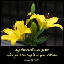 Psalm 119 171 Parts Of A Flower Flowers Photography Yellow Lily