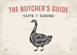 Butcher Diagram Scheme Elk Stock Vector Illustration Of