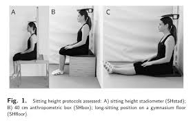 Image result for Sitting Height