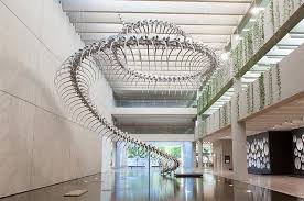 A Giant Aluminum Snake Skeleton Rises From A Pool Of Water At The Queensland Art Gallery Gallery Of Modern Art Galleries Architecture Art Gallery