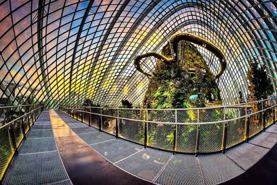 Cloud Forest, Singapore: A Complete Guide to Visiting the World's Tallest Indoor Waterfall