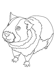 Kostenlose ausmalbilder und malvorlagen meerschweinchen zum ausmalen ausdrucken malvorlage meerschweinchen bilder drucken ausmalen 2020040 super ausmalbilder kostenlose malvorlagen zum ausmalen für kinder ausmalblätter malbilder ausmalen kostenloses malbuch farbbilder. Meerschweinchen Ausmalbilder Malvorlagen 100 Kostenlos