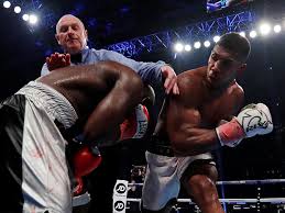 I believe you're going to win the fight. The Cult Of Anthony Joshua Sport Tls