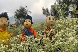 Pengakuan atta halilintar soal bunga edelweis yang menuai kontroversi. Desa Wisata Edelweis Wonokitri Tempat Resmi Beli Bunga Edelweis Halaman All Kompas Com