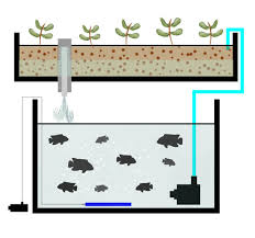 Building a flood and drain system. Flood And Drain Aquaponics Howtoaquaponic