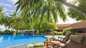 Maldives De Palmiers Station Chaises Longues Piscine Fonds D Ecran 3840x2160 Uhd 4k Maldives Piscine Hotel