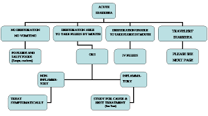 Diarrhea In Adults Infectious Disease And Antimicrobial Agents