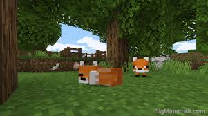 All legal java players can enter. Minecraft Pocket Edition Pe 1 13 Version History