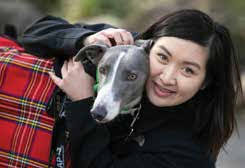 Feeding and travelling tips Aston Dee Bee retired to stud