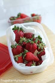 How To Keep Strawberries From Molding How To Store Strawberries Food Strawberry