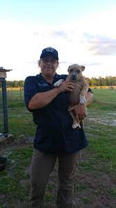 Sharon treated my dog like he was a stray animal from the street. Pets For Adoption At Hardee County Animal Control In Wauchula Fl Petfinder