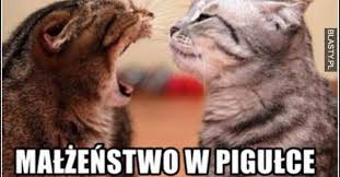 See more ideas about memy, zabawne memy, śmieszne memy. Jestes Po Slubie Zrozumiesz Te Memy Malzenstwo Na Wesolo Idealny Duet To Maz I Zona Memy Pozbawia Cie Zludzen Echo Dnia Swietokrzyskie