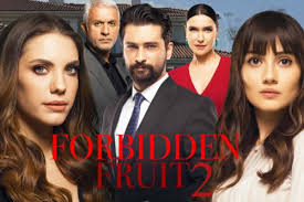 Anticipazioni Forbidden Fruit: notte di passione per Alihan ma non è come  sembra - ideabuilding.it