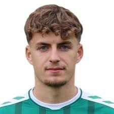 Profile Jan Lippegaus, Viktoria Berlin: Info, news, matches and statistics 