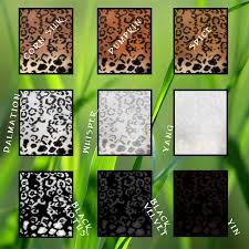If you are looking for pictures of specific ragdoll color patterns, they will be on each of the following pages. Big Cat Fur Types Wk Wild Kajaera