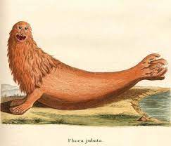 Maybe you would like to learn more about one of these? 18th Century Nature Artists Had To Draw These Animals Without Ever Seeing Them Before It S Weird