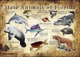 List of mammals of florida facts for kids. Florida State Animals Poster Print Etsy In 2021 Animals Poster Animals Poster Prints