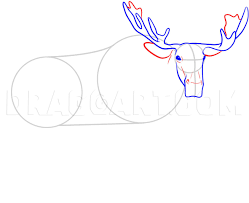 Make moose and zee printables and moose coloring pages together. How To Draw A Moose Coloring Page Trace Drawing