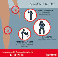 Maybe you would like to learn more about one of these? Piqures De Punaises De Lit Ce Que Vous Devez Savoir