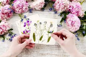 Find images of bunch of flowers. How To Dry Flowers We Tested 5 Different Methods To Find The Best