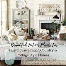 The Best Indoor House Plants For Farmhouse And French Country Style French Country Rug French Country Bedrooms French Country Bathroom