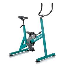 Pool Water Green V2 Aquaness Bike