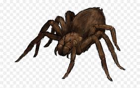 Fantasy Giant Wolf Spider Hd Png Download Vhv Choose from 2400+ spider graphic resources and download in the form of png, eps, ai or psd. fantasy giant wolf spider hd png