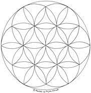 Die blume des lebens ist ein uraltes mystisches symbol. 70 Blume Des Lebens Ideen Blume Des Lebens Blume Des Lebens Mandala Mandalas Zum Ausdrucken