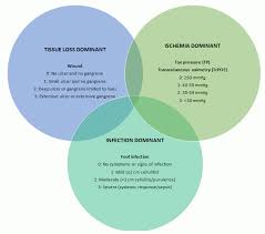 Image result for IDSA Diabetic Foot Wound Classification